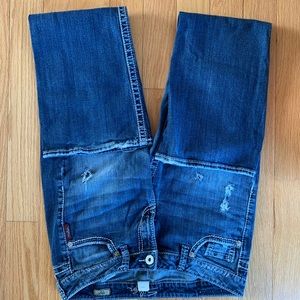 Silver jeans, Lola flare, 31/31